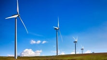 Imagem de Transporte de torres eólicas obriga ao corte de rotundas e cabos de eletricidade (Vídeo)