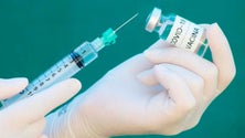 Imagem de Diretora de farmácia substituída após inutilização de vacinas