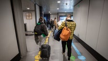 Imagem de Madeira disponível para aderir ao programa Regressar (áudio)