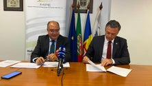 Imagem de Madeira Parques Empresariais tem 30% da ocupação dos pavilhões por preencher (áudio)