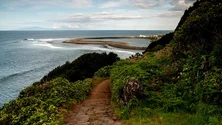 Imagem de Azores Trail Fest pretende consolidar o turismo de natureza (Vídeo)