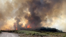 Incêndio nos Prazeres coloca habitações e hotel em risco (vídeo)