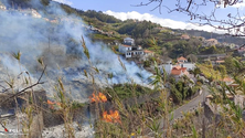 Imagem de Queimada no Estreito de Câmara de Lobos controlada