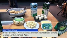 Leite biológico açoriano já está no mercado [Vídeo]