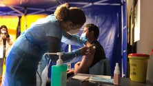 Imagem de Madeira ultrapassa hoje as 200 mil doses