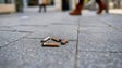 Beatas no chão podem custar até 250 euros de multa (Áudio)
