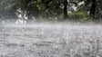 Imagem de Açores sob aviso amarelo devido a chuva forte e trovoada
