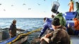 Covid-19: Madeira prolonga isenção de taxas a pescadores até final do ano