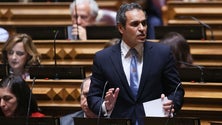 Imagem de PS acusa PSD e CDS-PP de meterem a cabeça na areia