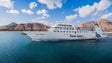 Imagem de Lobo Marinho deve fazer viagens para o Porto Santo a partir de Fevereiro