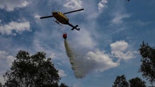 Incêndio em Proença-a-Nova em situação muito difícil