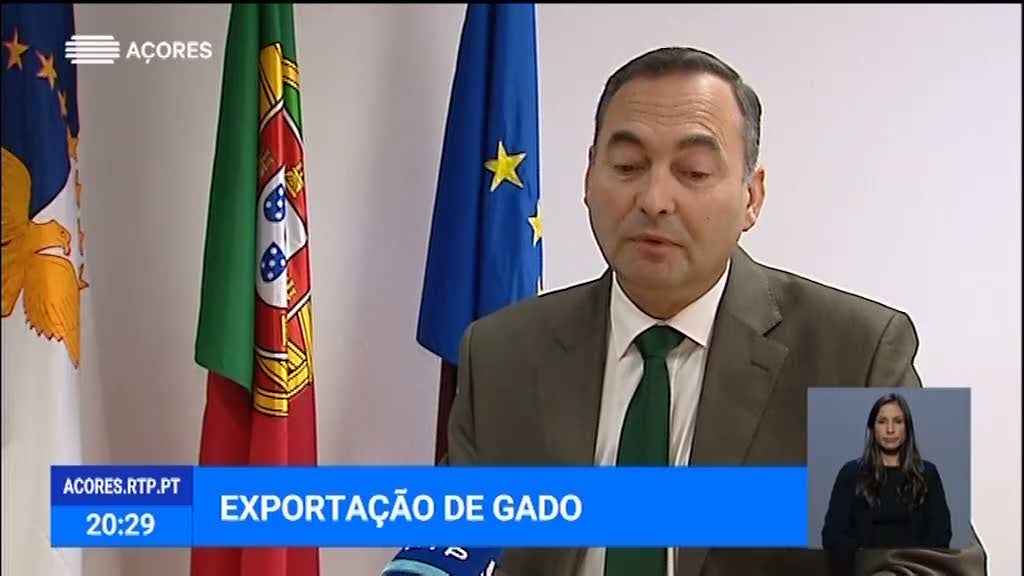 Governo analisa problemas na exportação de gado das Flores (Vídeo)