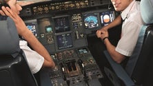 Imagem de easyJet quer crescer 3% na rota da Madeira, em 2019