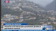 Imagem de Governo da Madeira cria marca “Jardins da Madeira” (Vídeo)