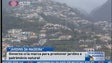 Governo da Madeira cria marca “Jardins da Madeira” (Vídeo)