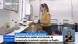 Imagem de Investigadores pedem uma estação de recuperação de animais marinhos na Madeira (Vídeo)