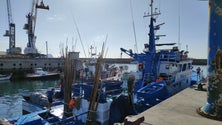 Imagem de Pescadores querem vacina (áudio)