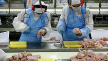 Imagem de Atividades Económicas recebem 1400 reclamações e instauram 700 processos