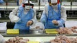 Imagem de Atividades Económicas recebem 1400 reclamações e instauram 700 processos