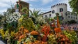Imagem de Cortejo com menos flores regionais (áudio)