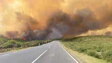 Imagem de Fogo sobe para o Paul da Serra (vídeo)