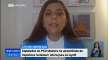 Imagem de Deputados do PSD Madeira em São Bento exigem alterações ao lay-off (Vídeo)