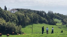 Imagem de Líder do PSD-Açores diz que o governo está sem ideias (Vídeo)