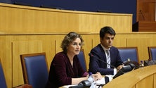 Imagem de Três grupos de trabalho estudam soluções para combater `listas de espera`