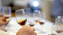 Imagem de 12 profissionais do setor do vinho participam na 2.ª edição do Madeira Wine Educator Course (Áudio)