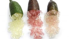 Imagem de Está a nascer em Santana um projeto de agricultura gourmet