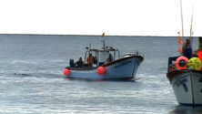 Imagem de Governo prepara apoios para os pescadores (Vídeo)