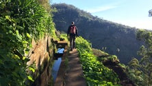 Imagem de Camacha Trail junta 400 atletas de 10 nacionalidades (áudio)