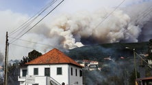 Governo já recebeu 220 candidaturas para os apoios à produção na sequência dos incêndios (áudio)