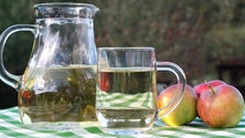 Imagem de Fábrica de Sidra abre no Santo da Serra