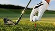Campos de golfe continuam a precisar de manutenção (Vídeo)