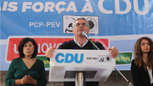 Imagem de PCP quer passe único para toda a ilha no valor de 40 euros