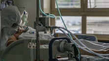 Imagem de Mais 3.773 novos casos e 17 mortes