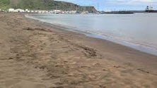 Imagem de Crianças limpam praias na Terceira (Vídeo)