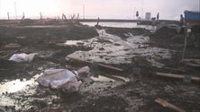 Imagem de Mar ameaçou as Lajes do Pico (Vídeo)