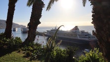 Imagem de Encontro de Freds no Porto do Funchal movimenta quase 5 000 pessoas