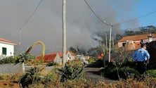 Imagem de Há três incêndios florestais ativos na Madeira
