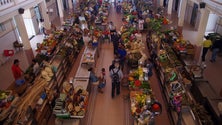 Imagem de Açores e Cabo Verde cooperam na área agrícola [Som]