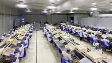 Imagem de Ex-trabalhadores da COFACO não receberam apoios sociais (Vídeo)