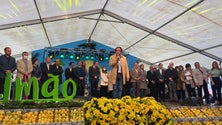 Imagem de Governo apoia em 30 cêntimos por litro (áudio)