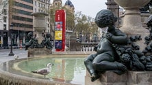 Imagem de Covid-19: Espanha com quase 2.500 novos casos nas últimas 24 horas