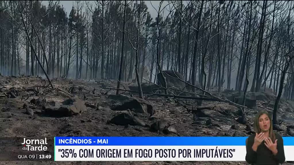 35% dos incêndios deste ano tiveram origem em fogo posto