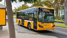 Imagem de «Horários do Funchal» espera transportar cerca de 5.000 passageiros na festa do Monte (áudio)