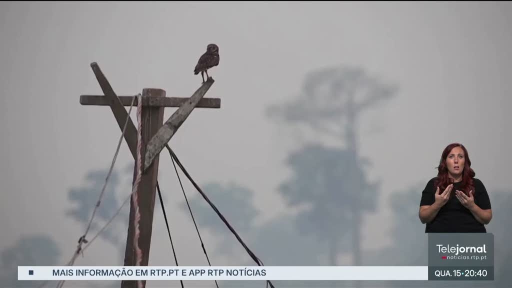Gases poluentes atingiram em 2024 um aumento sem precedentes