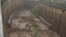 Imagem de Madeira regista a chuva e vento gerados pelo Óscar (vídeo)