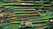 Imagem de Recenseamento agrícola começa hoje
